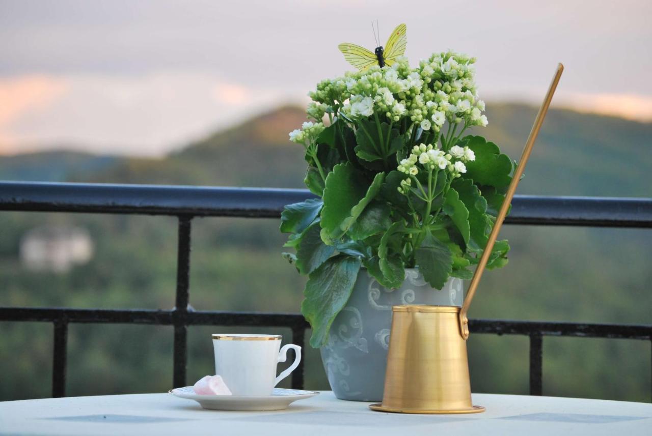 Artemi'S Guesthouse Кипи Экстерьер фото